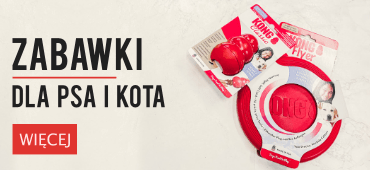 Zabawki Kong dla psa i kota