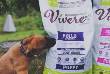 Poznaj nową i smakowitą karmę na rynku!