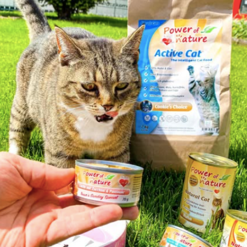 Karma Power of Nature dostępna!