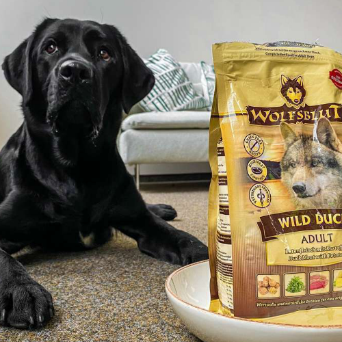 Poznaj Wolfsblut z kaczką dla psa!