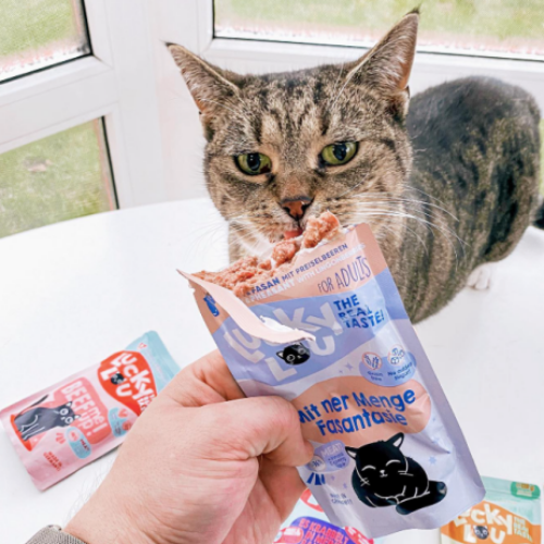 Zamów saszetki Lucky Lou dla kota!